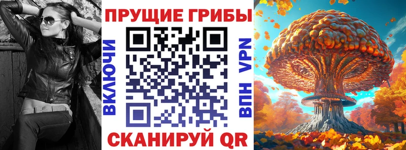 Галлюциногенные грибы GOLDEN TEACHER  Щёлкино 