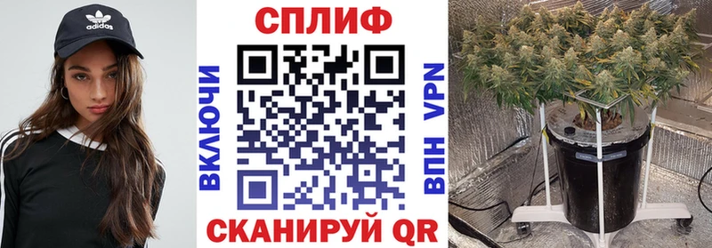 kraken рабочий сайт  Щёлкино  Канабис White Widow  закладки 